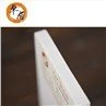 Apa Perbedaan Antara Papan Busa dan Papan Busa PVC?
